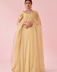 Gulkand Yellow Lehenga Set