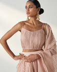 Rajita Blush Pink Lehenga Set