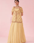 Gulmohar Yellow Lehenga Set