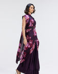 Lyla Collar Pallu Sari