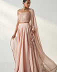 Rajita Blush Pink Lehenga Set