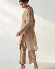 Pakhi Fawn Sheer Kurta Pant Set