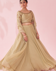 Gulkand Green Lehenga Set