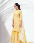 Intricately Sequined Ombre Anarkali Set in Green Georgette