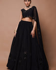 Black Cutwork Lehenga Set (Set Of 2)