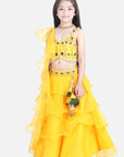 Orgenza Lehnga with Silk Blend Lineing,Prgenza Chunni with Ruffles,Choli with Hand Embroidry.