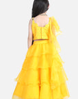 Orgenza Lehnga with Silk Blend Lineing,Prgenza Chunni with Ruffles,Choli with Hand Embroidry.