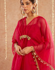 Rani Organza Kaftan Set With Pants And Potli Bag - Set Of 3