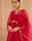 Rani Organza Kaftan Set With Pants And Potli Bag - Set Of 3