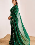Horizontal Sequin Embroidery Saree with Floral Border and Blouse