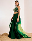 Plain Lehenga with Heavy Hand Embroidered Blouse and Shaded Organza Dupatta