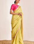 Shimmer Saree with Elephant Motif Pallu and Contrasting Blouse
