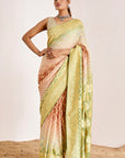 Traditional Banarasee Bandhani Saree in Modern Colors
