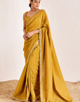 Plain Shimmer Saree with Mirror Work Border and Bustier Blouse