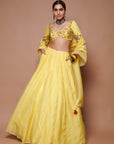 Yellow Chanderi Lehenga Set (Set Of 3)