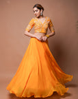 Mango Yellow Indo Lehenga Set (Set Of 2)