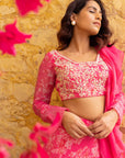 Blush Pink Printed Saree with Elegant Padded Blouse - Georgette