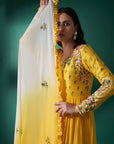 Sequin Embroidered Ombre Georgette Anarkali Set