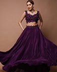Wine 3-D Lehenga Set (Set Of 3)