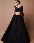 Black Cutwork Lehenga Set (Set Of 2)