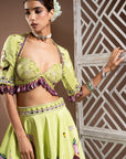 Elephant Print Green And Purple Heavy Lehenga Set (Set Of 3)