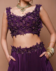 Wine 3-D Lehenga Set (Set Of 3)