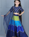 Embriodered Choli with Multi Colour Lehenga
