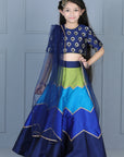 Embriodered Choli with Multi Colour Lehenga