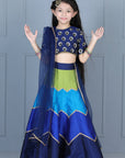 Embriodered Choli with Multi Colour Lehenga