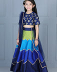 Embriodered Choli with Multi Colour Lehenga