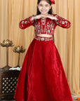 Velvet Lehenga with Embroidery