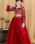 Velvet Lehenga with Embroidery