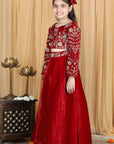 Velvet Lehenga with Embroidery