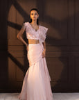 Romantic Rose Embellished Drape Saree