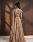 Golden Glow Embellished Lehenga Set