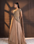 Golden Glow Embellished Lehenga Set
