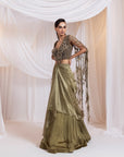 Martini Gleam Saree