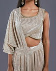 Glitter Drapped Saree