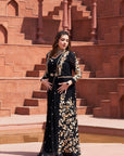 Gothic Saree