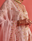 Powdered Pink Lehenga Set With Organza Dupatta