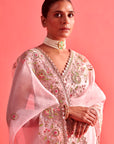 Powdered Pink Hand Embrodiered Saree With Mashru Silk Blouse