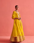 Yellow Lehenga & Bloluse With Organza Dupatta