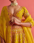 Yellow Lehenga & Bloluse With Organza Dupatta