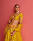 Yellow Lehenga & Bloluse With Organza Dupatta