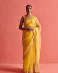 Yellow Hand Embrodiered Saree With Mashru Silk Blouse
