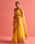 Yellow Hand Embrodiered Saree With Mashru Silk Blouse