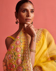 Yellow Hand Embrodiered Saree With Mashru Silk Blouse