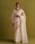 Beige Hand Embrodiered Saree With Raw Silk Blouse