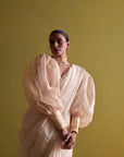 Beige Hand Embrodiered Saree With Raw Silk Blouse