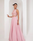 Pink NALKI blouse with A line skirt